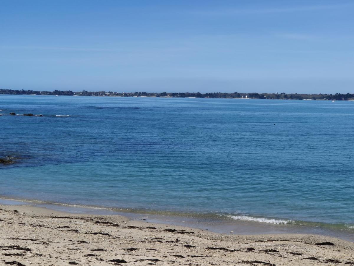 Le 21 Vue Sur Mer Concarneau Eksteriør billede