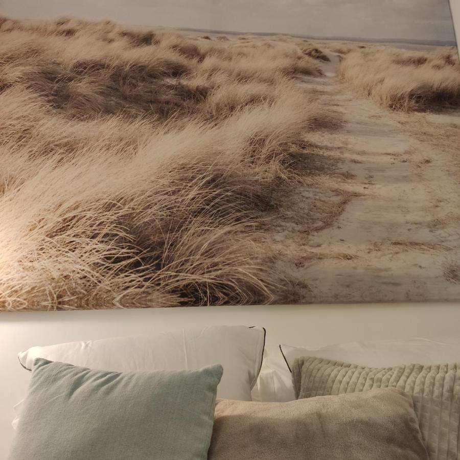 Le 21 Vue Sur Mer Concarneau Eksteriør billede